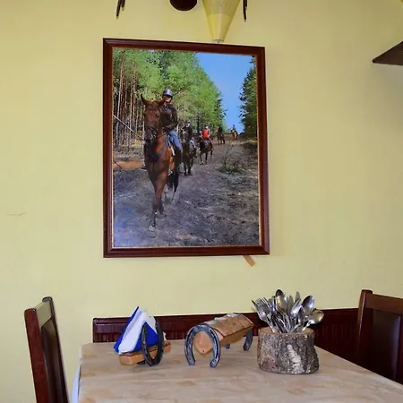 Gospodarstwo Agroturystyczne I Stadnina Koni Apartmán *